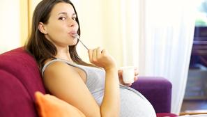 trudnica trudnoća jogurt