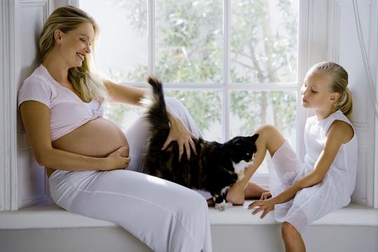 trudnica, mačka, dijete