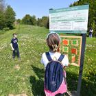 Poučno - pješačku stazu osmislili su i u izradi sudjelovali učenici Osnovne skole Tužno