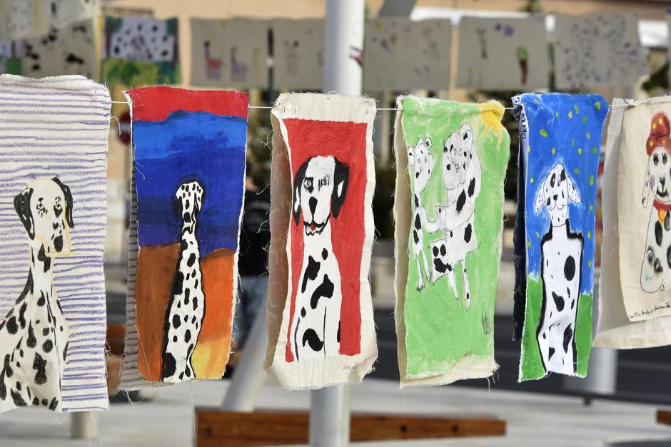 Šibenik: Najveća svjetska izložba na temu dalmatinskog psa | Author: Hrvoje Jelavic/PIXSELL
