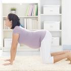 prenatal yoga joga mačka