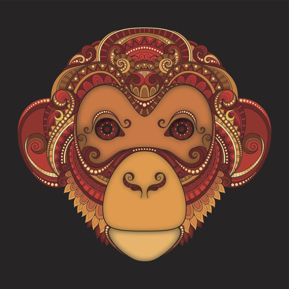 majmun | Author: Thinkstock