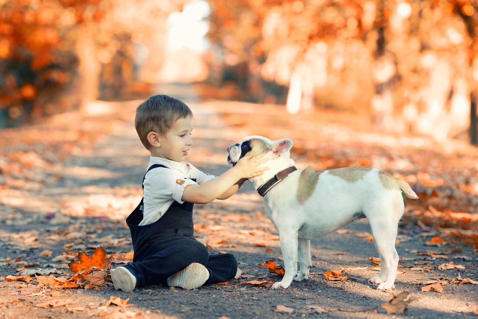 Mali psi za djecu | Author: Shutterstock