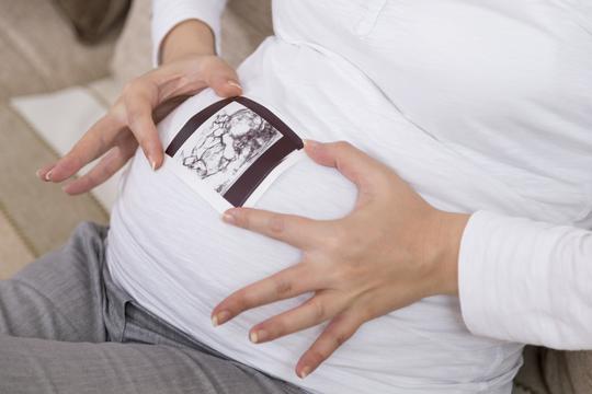 trudnica, trbuh, ultrazvuk