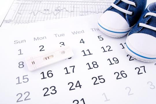 ovulacija, kalendar, plodni dani