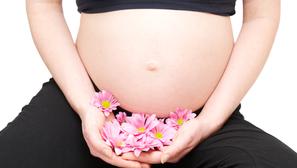 trudnica, trbuh, cvijeće